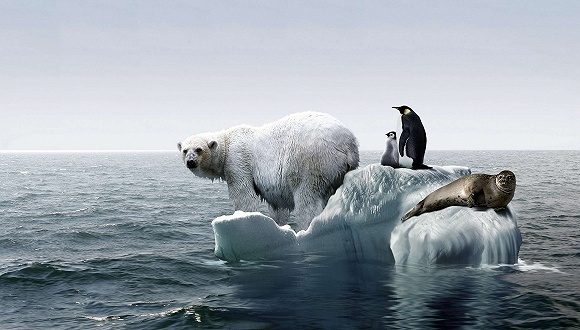 全球暖化_阿拉斯加暖化纪实_全球暖化作文